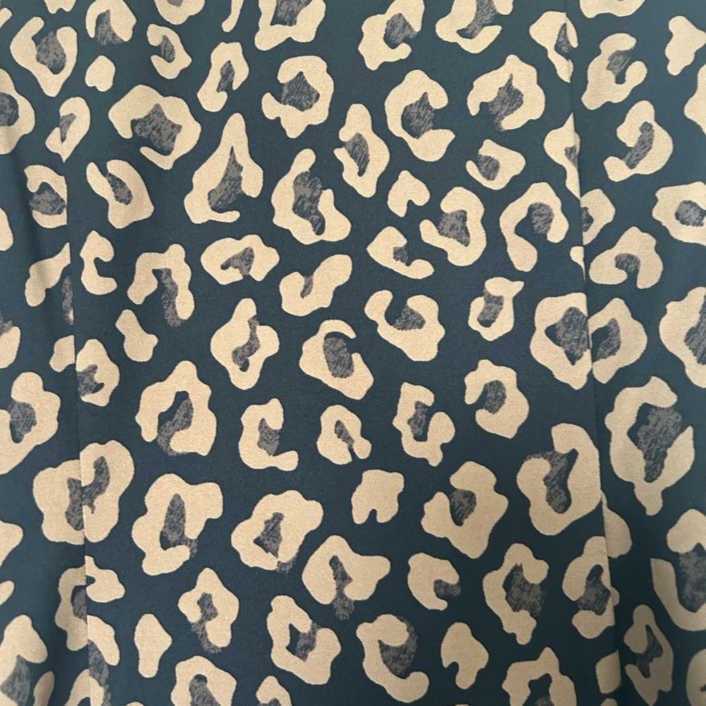 Leopard Print Dress - Picture 2 of 3
